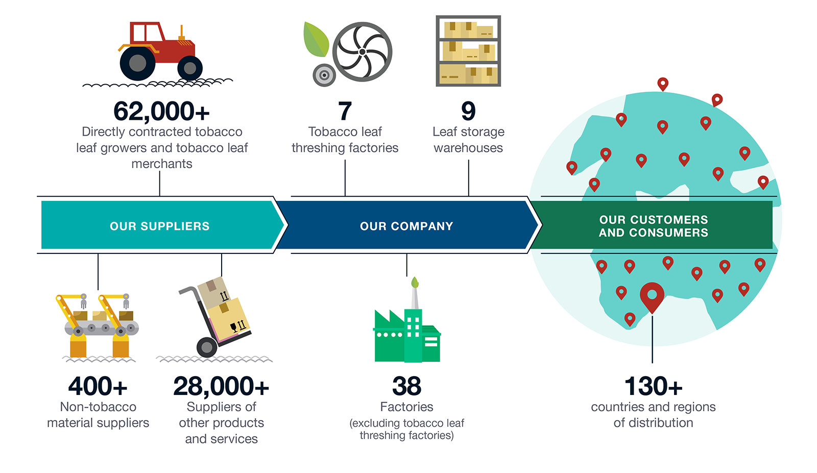 OUR TOBACCO BUSINESS VALUE CHAIN